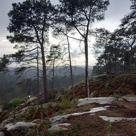 Gite Les Petites Bruyeres Veneux-les-Sablons Luaran gambar
