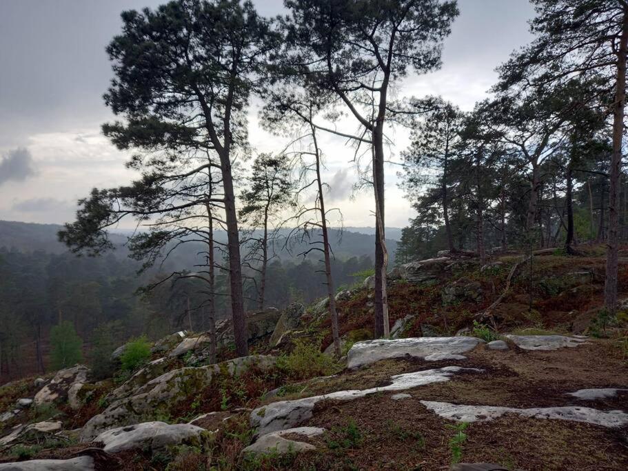 Gite Les Petites Bruyeres Veneux-les-Sablons Luaran gambar