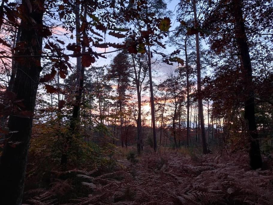 Gite Les Petites Bruyeres Veneux-les-Sablons Luaran gambar